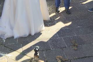 Le Spose di Monza - 5