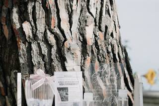 Francy Wedding And Events - 7