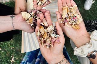 Cinzia Fonso Eventi - 8