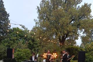 Amelia Sorvillo & 5/4 Live Band - 11