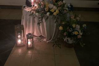 Piante e Fiori - 5