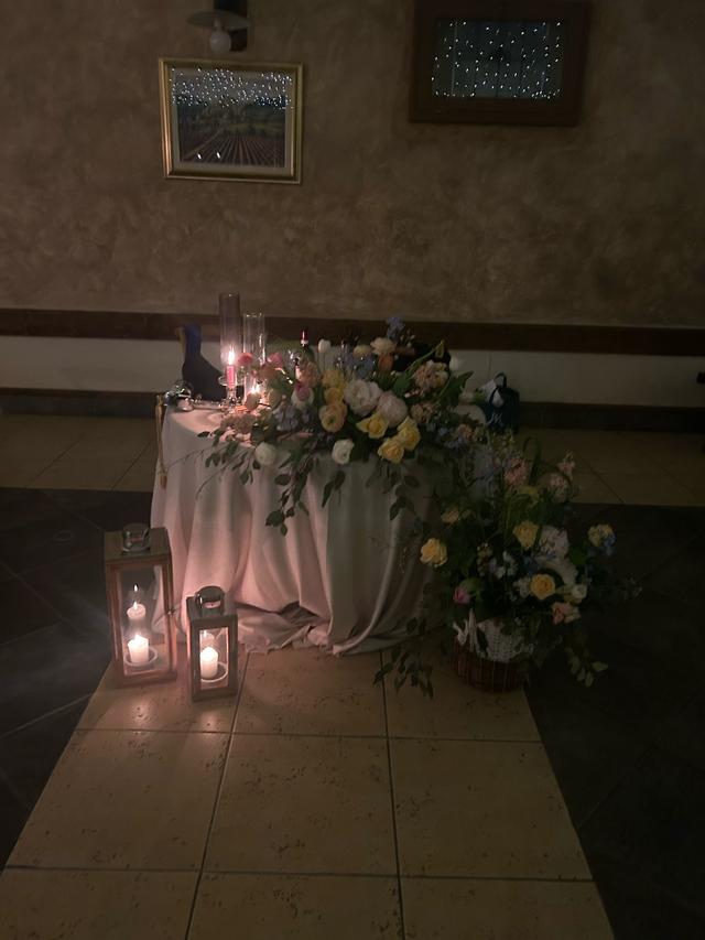 Piante e Fiori - 2