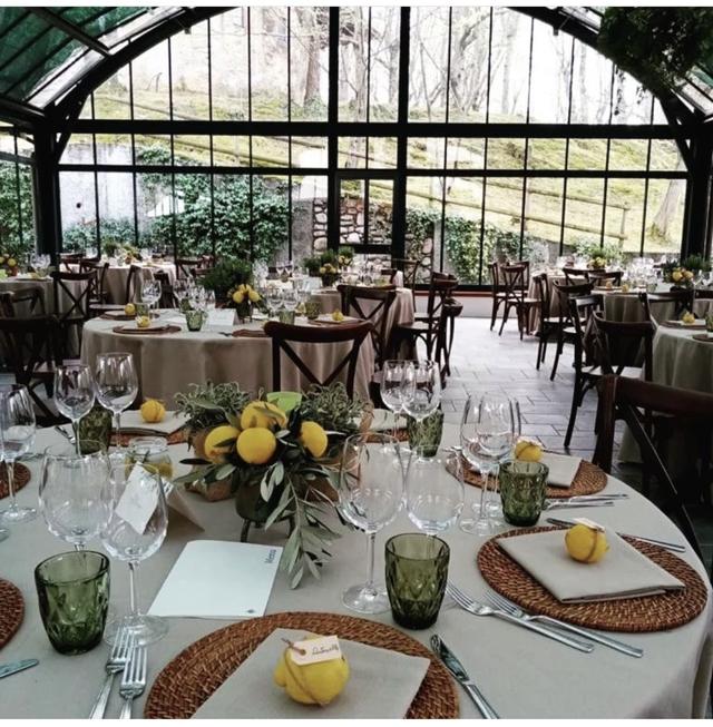 Amorillo Varese - 2
