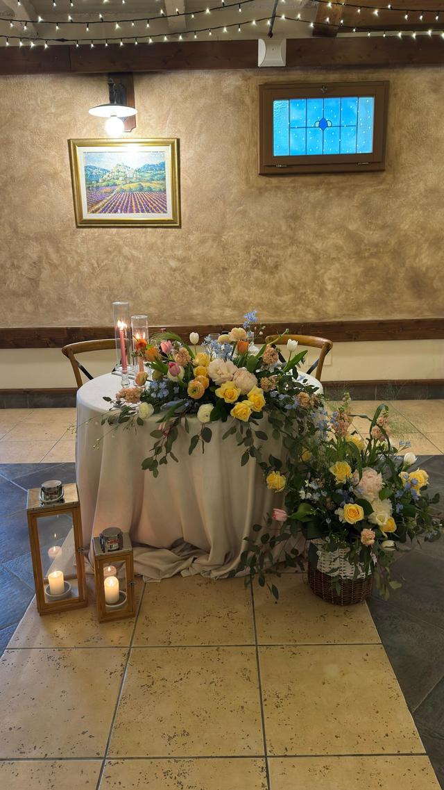 Piante e Fiori - 3
