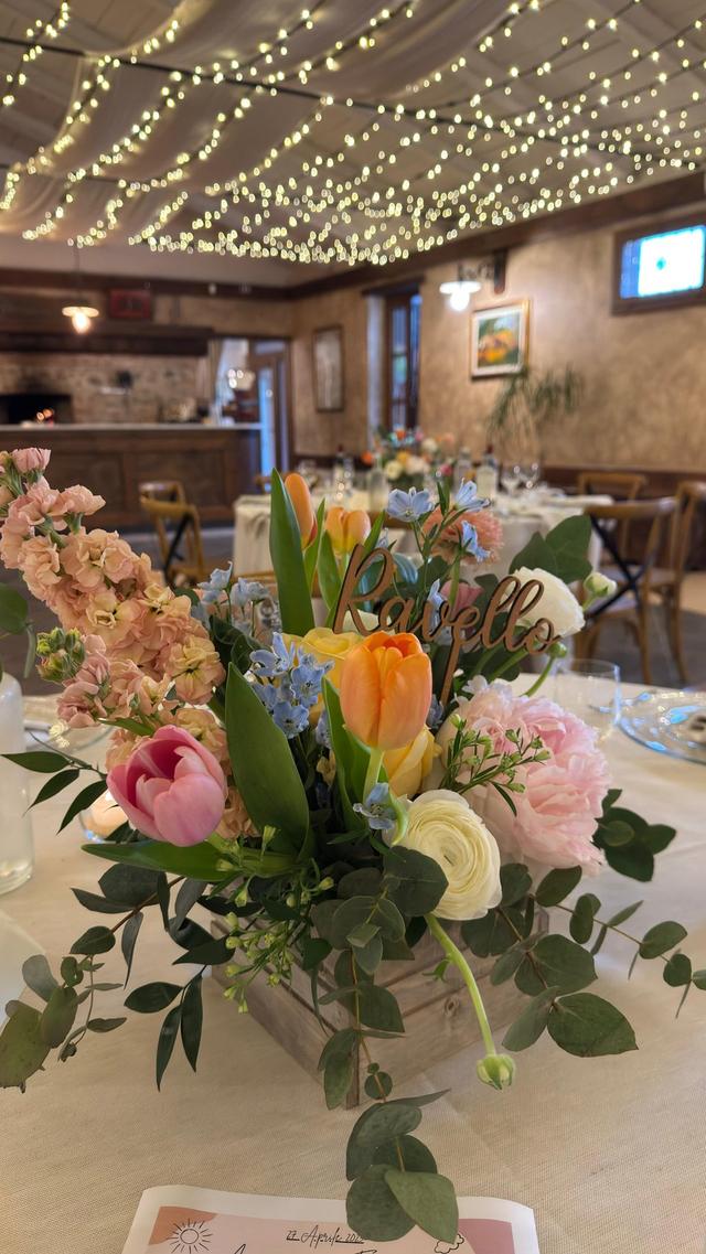 Piante e Fiori - 4