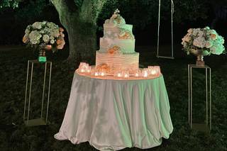 Nicolai Ricevimenti - 12