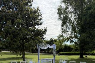 La Viola... e il Pensiero - 5