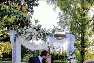 La Viola... e il Pensiero - 6