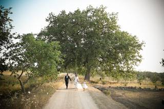 Antonio Vergine Photo - 11