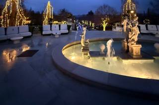 Villa Regina Iconic Event - 15