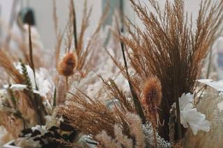 Fiore d'Arancio - 14