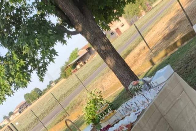 Funny Catering & Banqueting 2