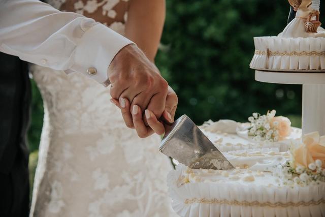 The Wedding Knot - 1