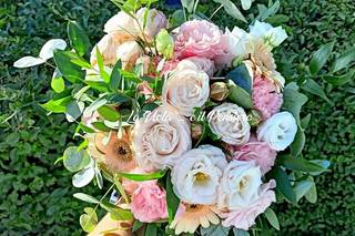 La Viola... e il Pensiero - 8