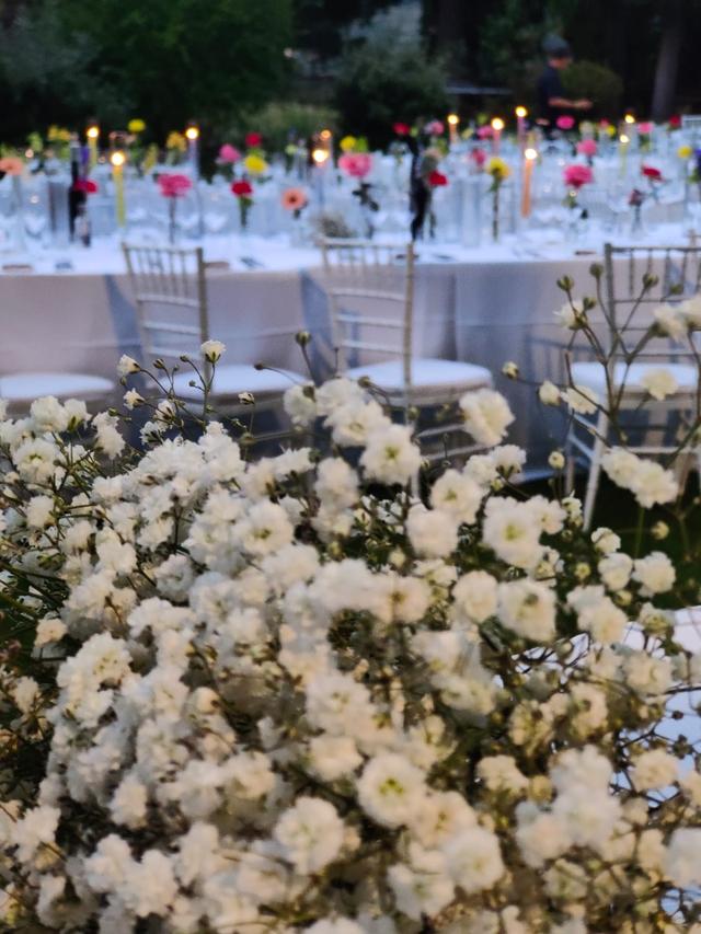 La Nuova Arteflor - 2