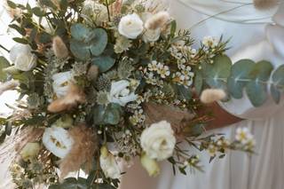 Garden Eden & Poi... - 11