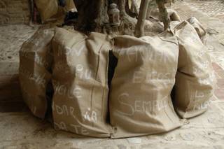 Ritagli di Sogno - 15