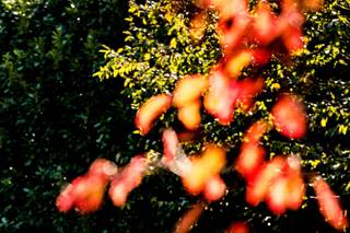 Cascina Borgofrancone - 5