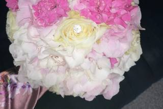 Nuova Flora di Pelliccia Mario - 5