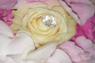 Nuova Flora di Pelliccia Mario - 6