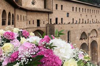 Nuova Flora di Pelliccia Mario - 7