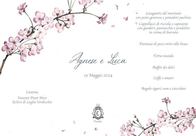Sara Arte di Carta - 3