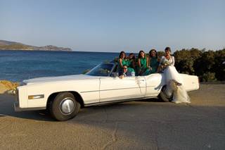 Shardana Classic - 5