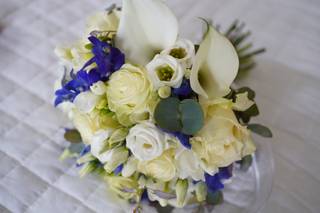 Tironi Bruno Fiori - 15