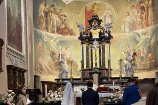 Piante e Fiori Valsecchi - 14