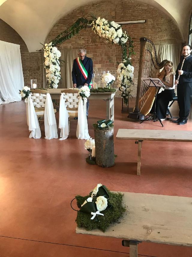 Arpista - Eleonora Volpato - 2