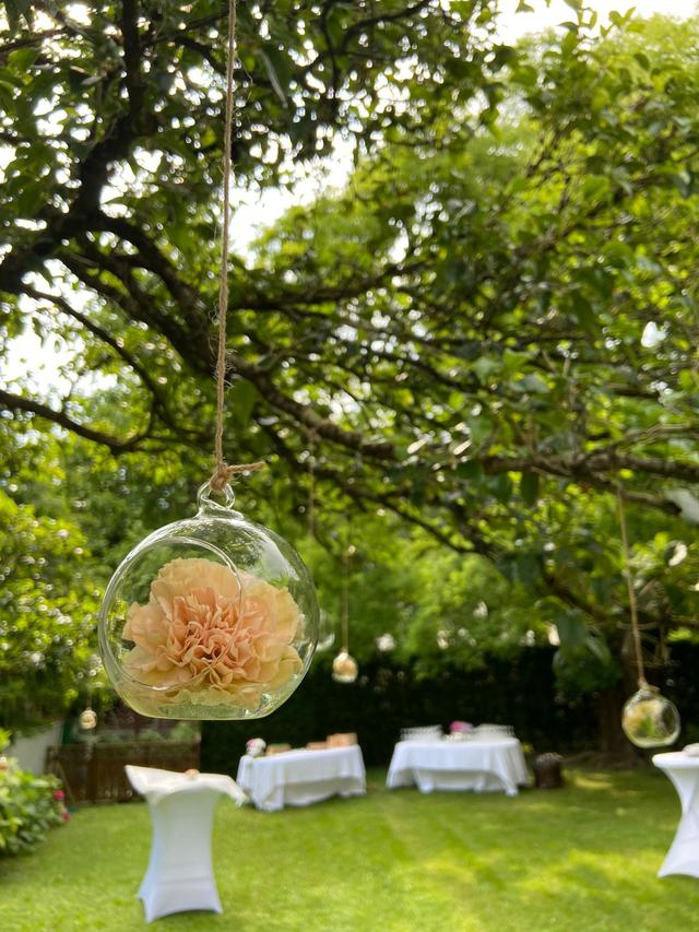 Palazzo Dal Moro - 1