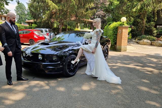 Noleggio Ford Mustang GT V8 2