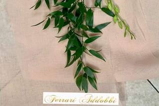 Ferrari Addobbi  - 5