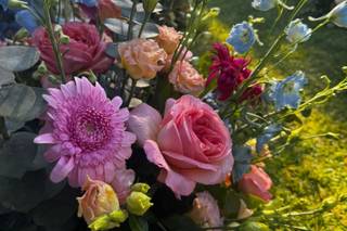 Botanika Fiori - 5