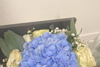 Aromi & Natura Continua - 7