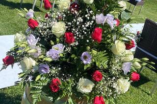 Fagnani Fiori - 14
