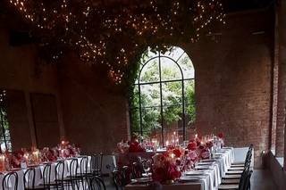 Helianthus Flower Lab - 29