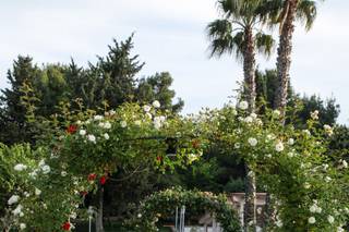 Casale Santa Lucia - 15