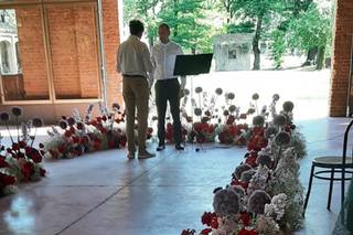 Helianthus Flower Lab - 30