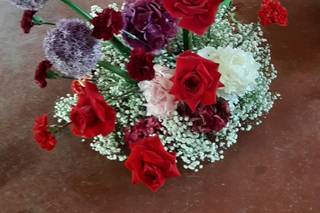 Helianthus Flower Lab - 31