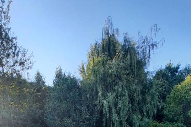 L'Emozione di SposarVi 4