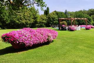 Agriturismo Divino Amore - 18