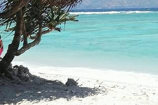 Meladiverto Viaggi - 9