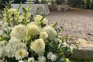 Marina Capolli Design de Flores - 12