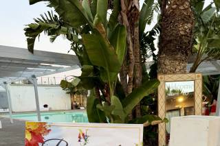 Le Palme Beach Club - 10