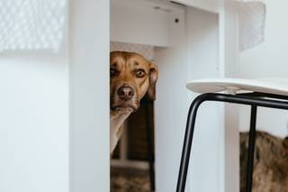 Federica Marchi Photography - 10