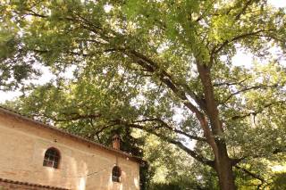 Villa Petrobelli - 10