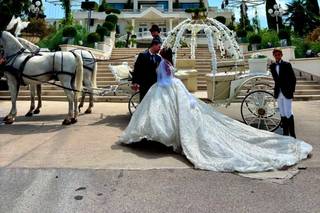 Eventi Galdi - 5