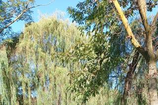 Agriturismo Greppi - 20