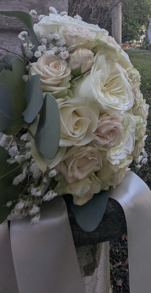 La Margherita Fiori e Piante - 2
